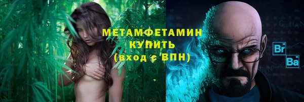 стаф Магас