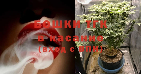 стаф Магас