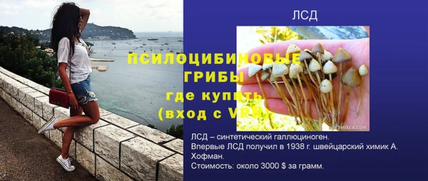 ПСИЛОЦИБИНОВЫЕ ГРИБЫ Майский