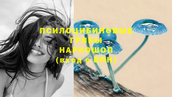 ПСИЛОЦИБИНОВЫЕ ГРИБЫ Майский