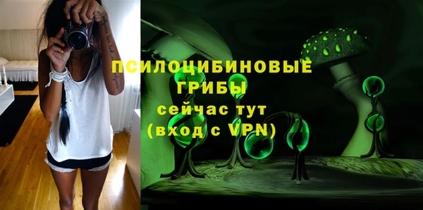 ПСИЛОЦИБИНОВЫЕ ГРИБЫ Майский
