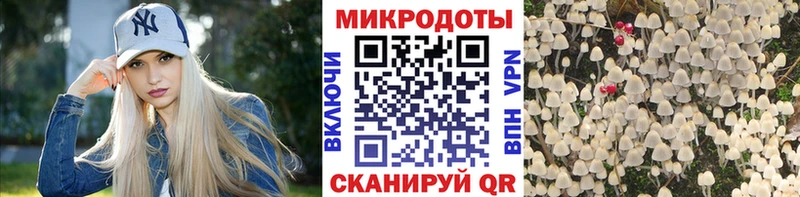 сколько стоит  Власиха  OMG вход  Псилоцибиновые грибы Magic Shrooms 